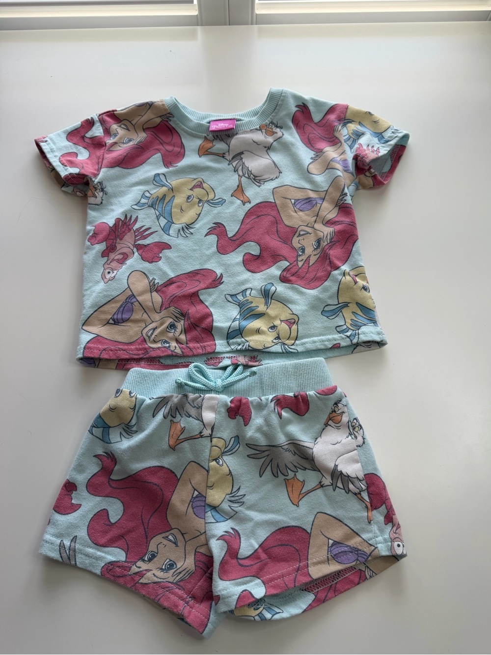 Disney Aqua and Pink Ariel & Friends Shorts Set